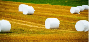 silage film manufacturers